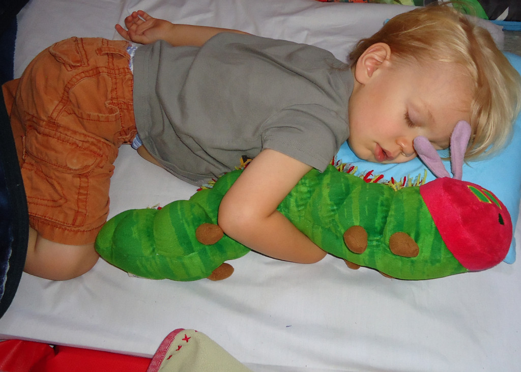 Southern California Montessori School - Los Angeles, CA