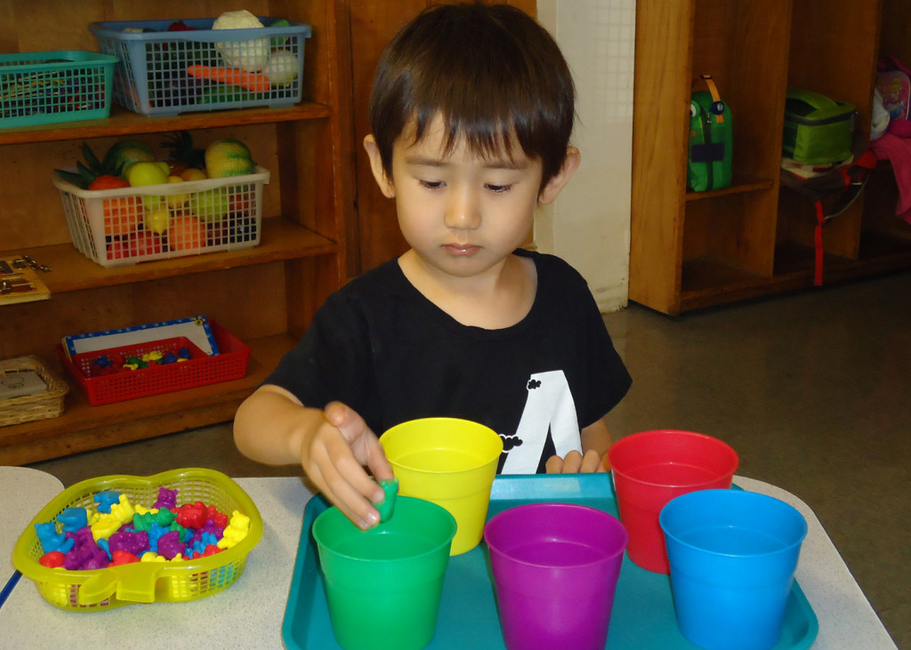 Southern California Montessori School - Los Angeles, CA